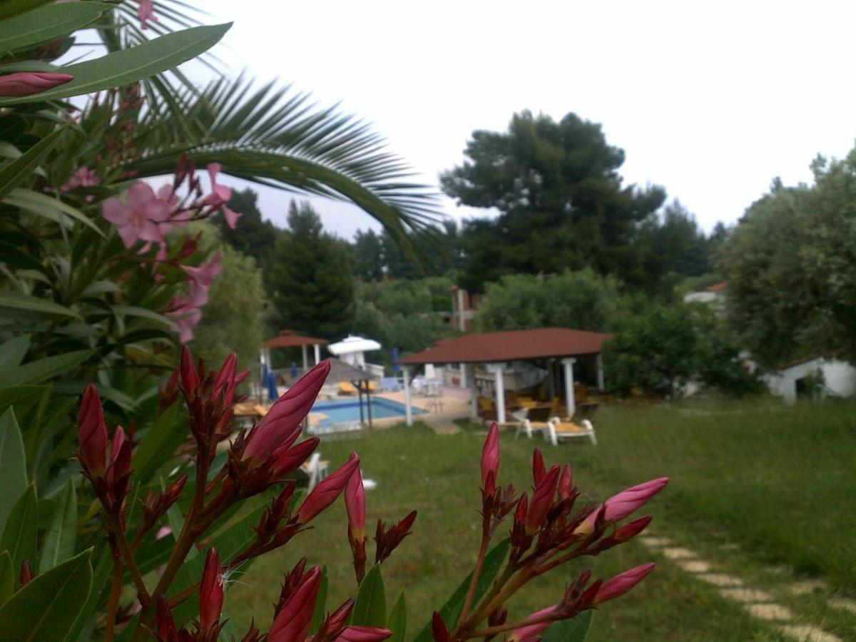 Villa Askamnia And Suites Nikiti  Exterior photo