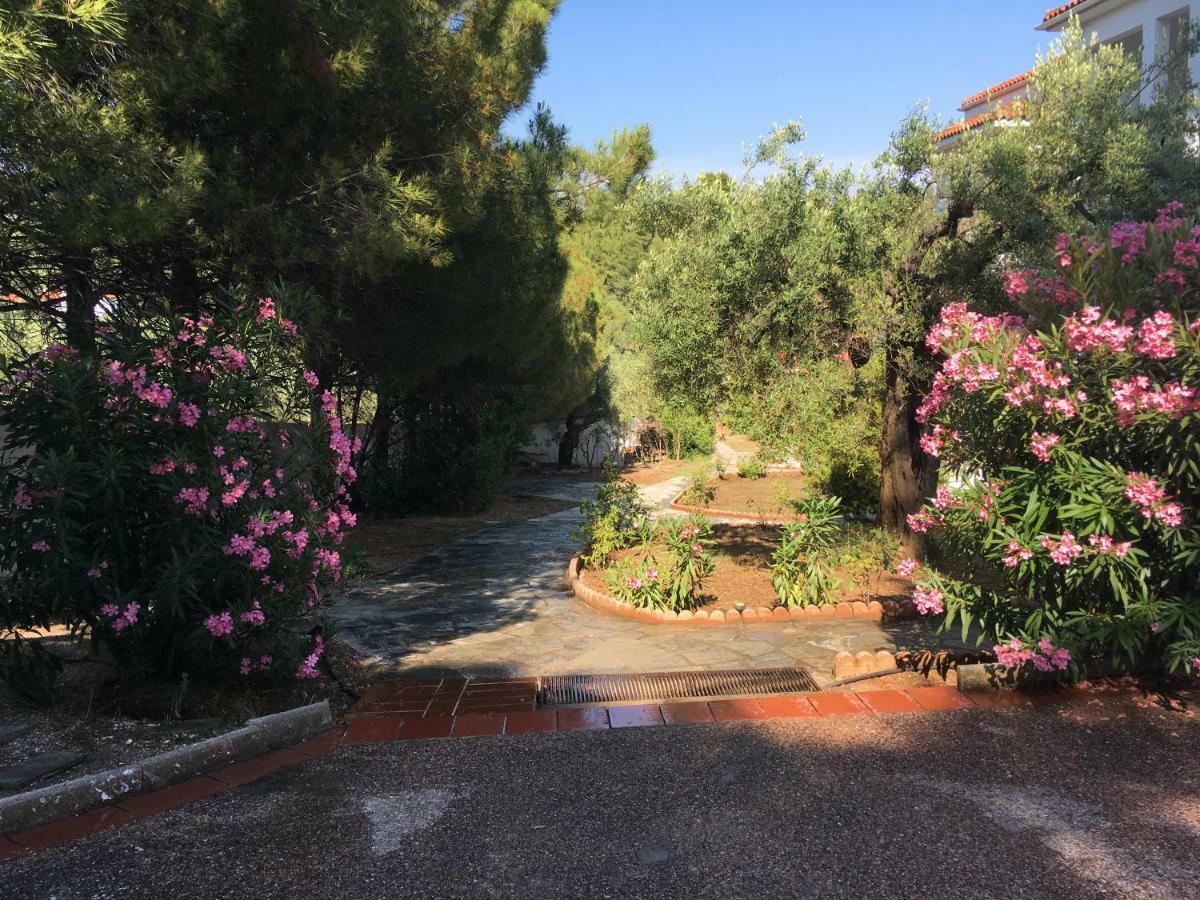 Villa Askamnia And Suites Nikiti  Exterior photo
